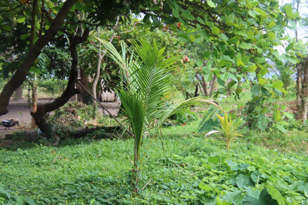 La Sirenita - Ometepe Hotel Altagracia Luaran gambar
