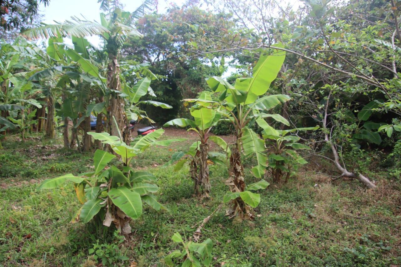 La Sirenita - Ometepe Hotel Altagracia Luaran gambar